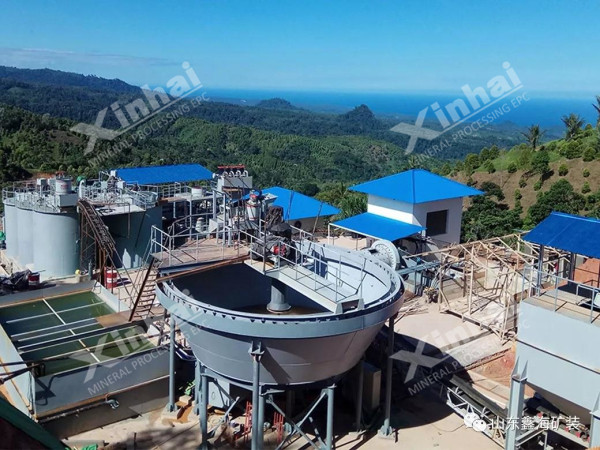 gold ore processing plant